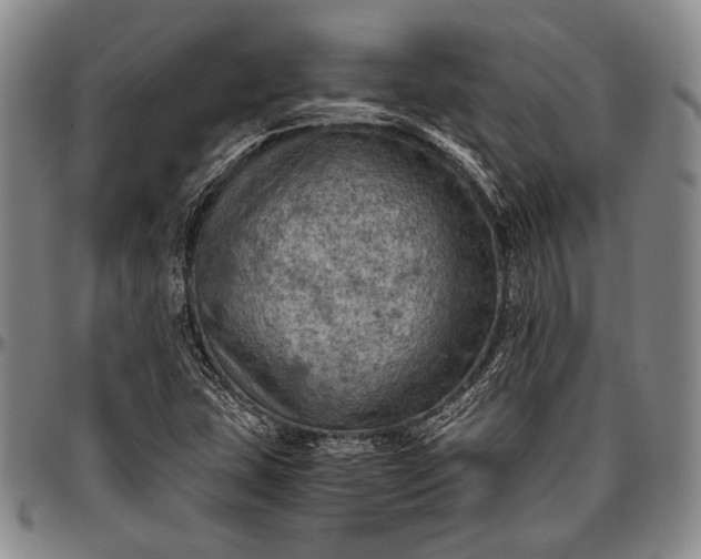 X0000096641407200802191209