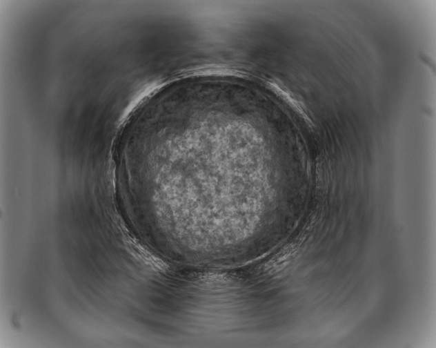 X0000096641408200802191209