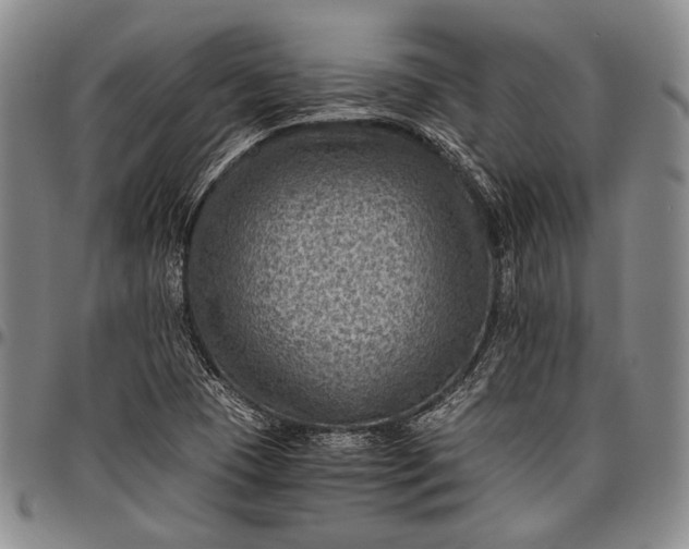 X0000096641409200802191209