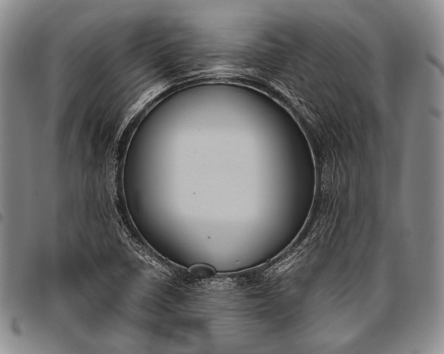 X0000096641410200802191209