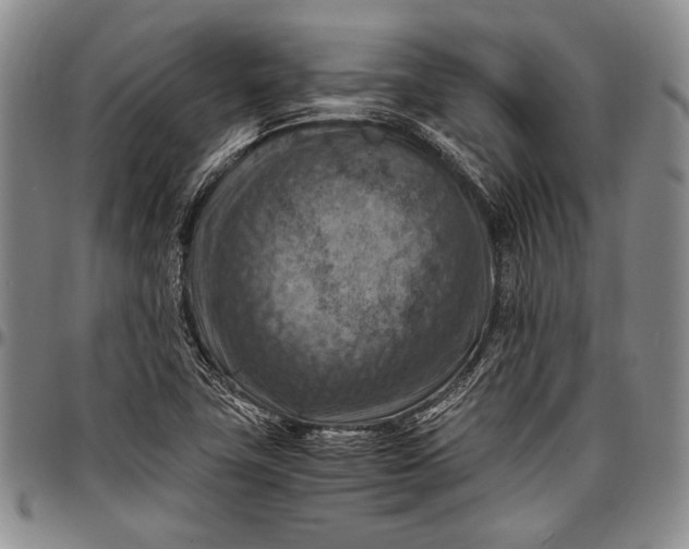 X0000096641411200802191209