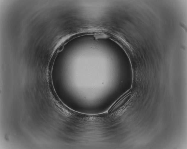 X0000096641412200802191209