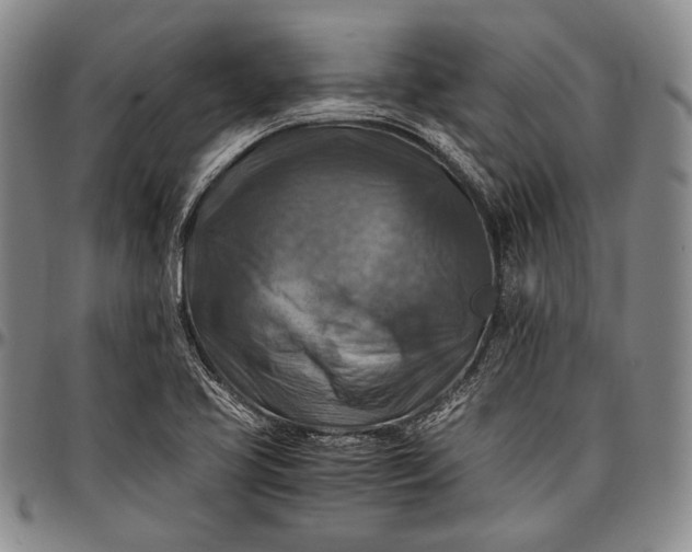 X0000096641413200802191209