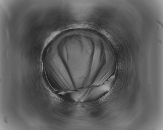 X0000096641414200802191209