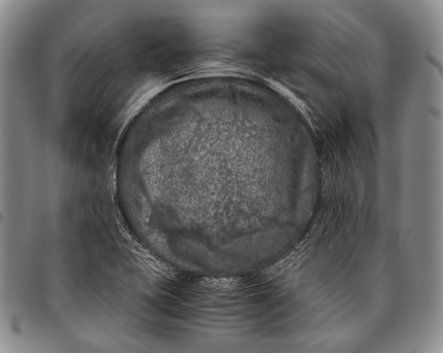 X0000096641415200802191209