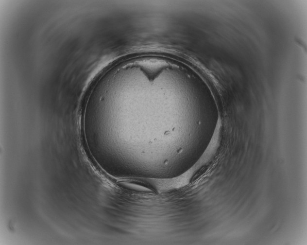 X0000096641416200802191209