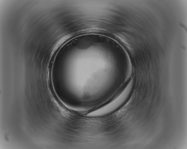 X0000096641418200802191209