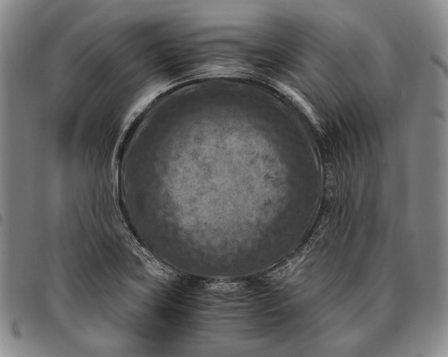 X0000096641419200802191209