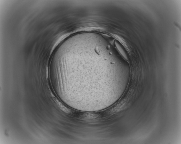 X0000096641420200802191209