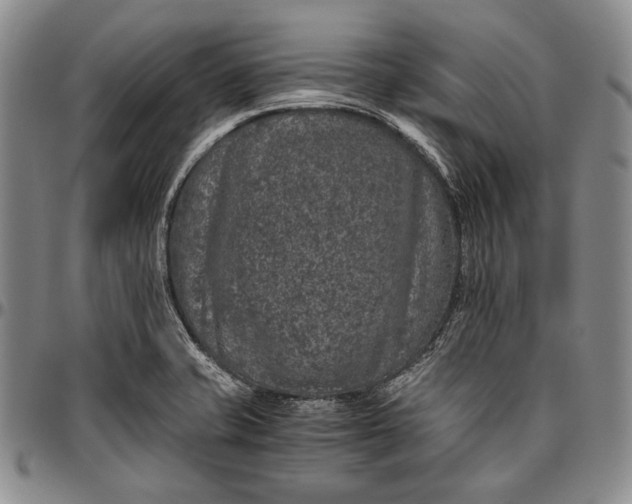 X0000096641421200802191209