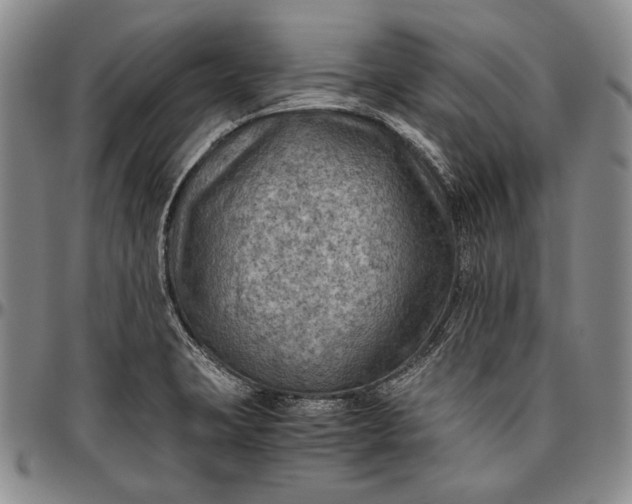 X0000096641423200802191209