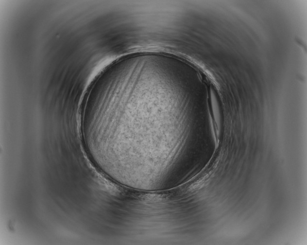 X0000096641424200802191209