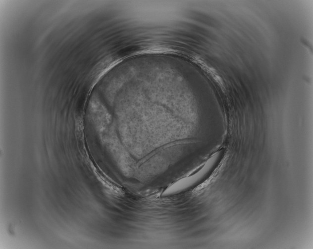 X0000096641425200802191209