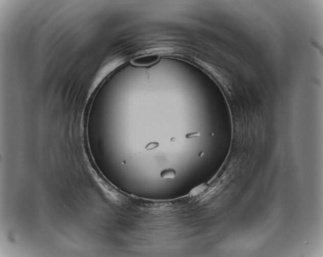 X0000096641426200802191209