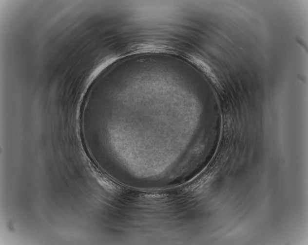 X0000096641427200802191209