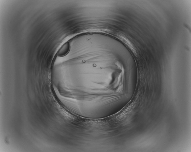 X0000096641428200802191209