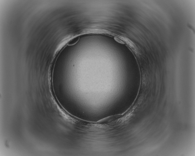 X0000096641430200802191209