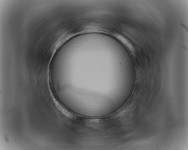 X0000096641431200802191209