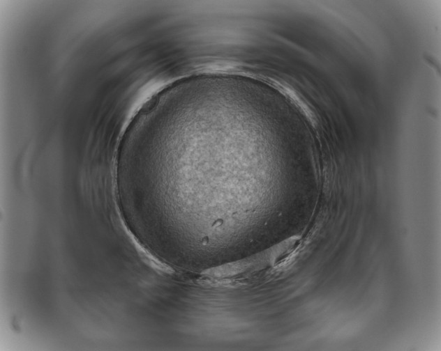 X0000096641432200802191209