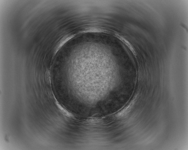 X0000096641433200802191209