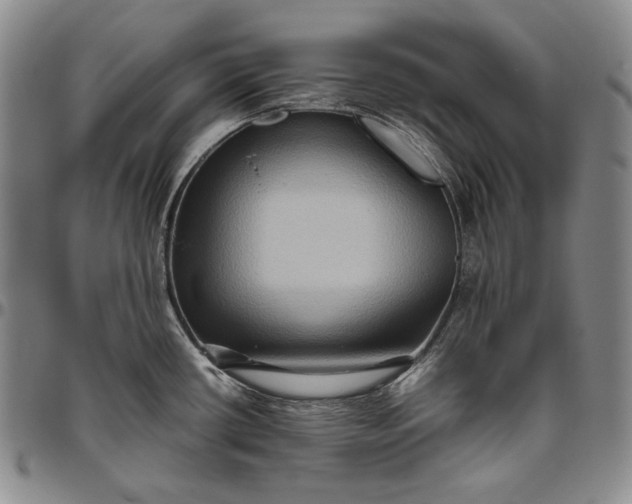 X0000096641434200802191209