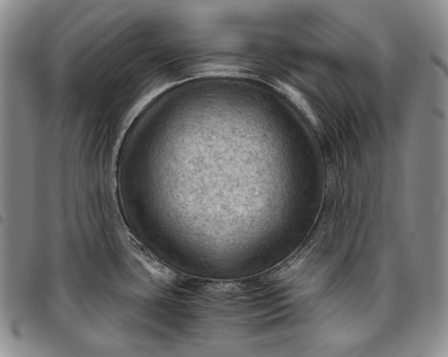 X0000096641435200802191209