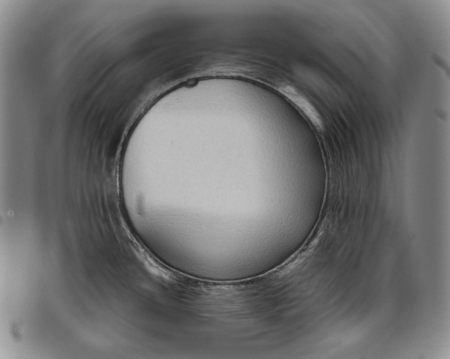 X0000096641436200802191209