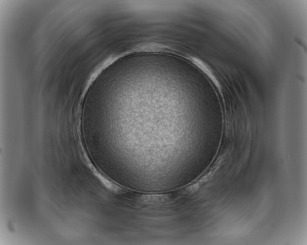 X0000096641437200802191209