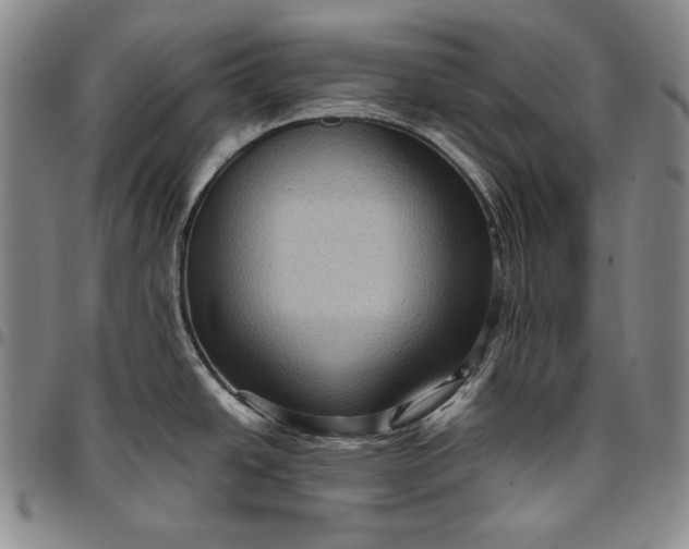 X0000096641438200802191209