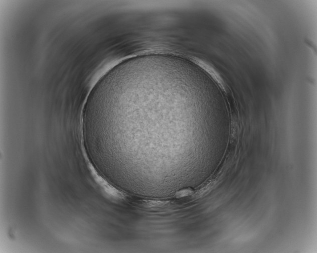 X0000096641439200802191209