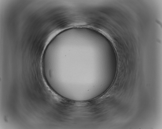 X0000096641440200802191209