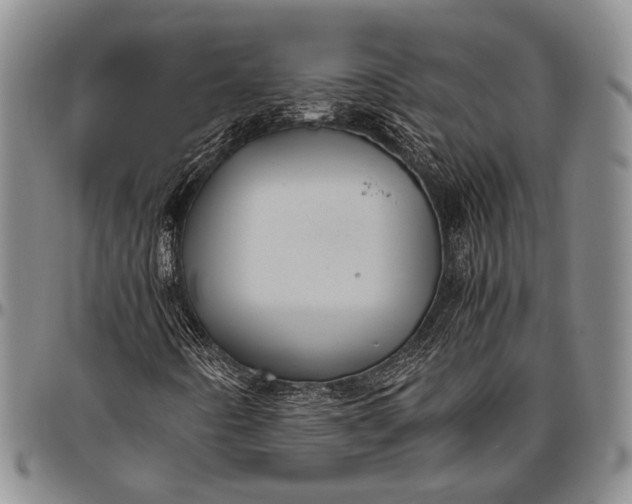 X0000096641442200802191209