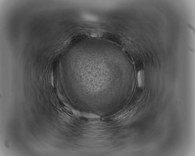 X0000096641443200802191209