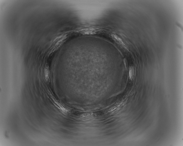 X0000096641444200802191209