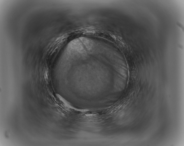 X0000096641445200802191209