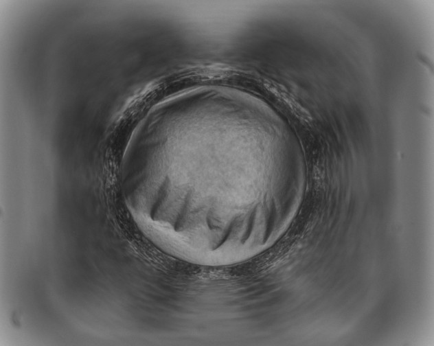 X0000096641447200802191209