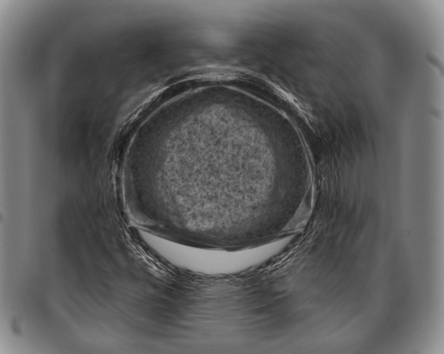 X0000096641448200802191209