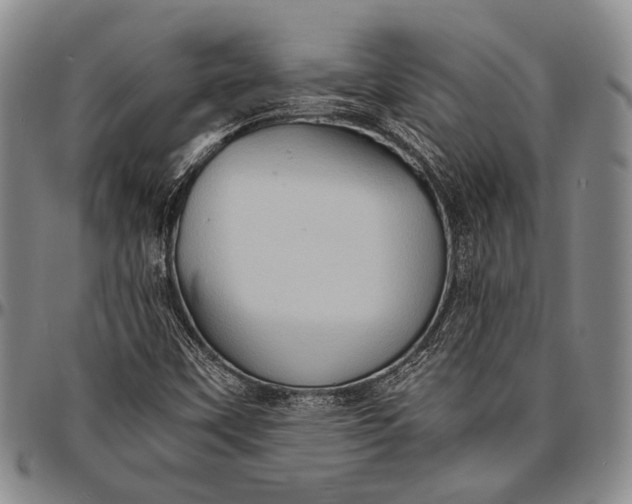 X0000096641451200802191209