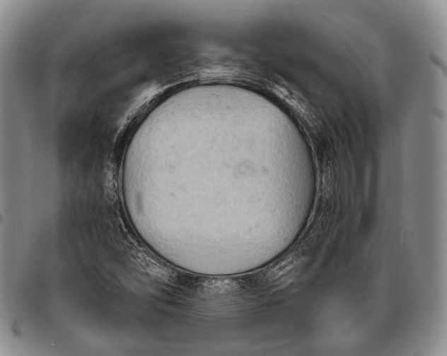 X0000096641454200802191209