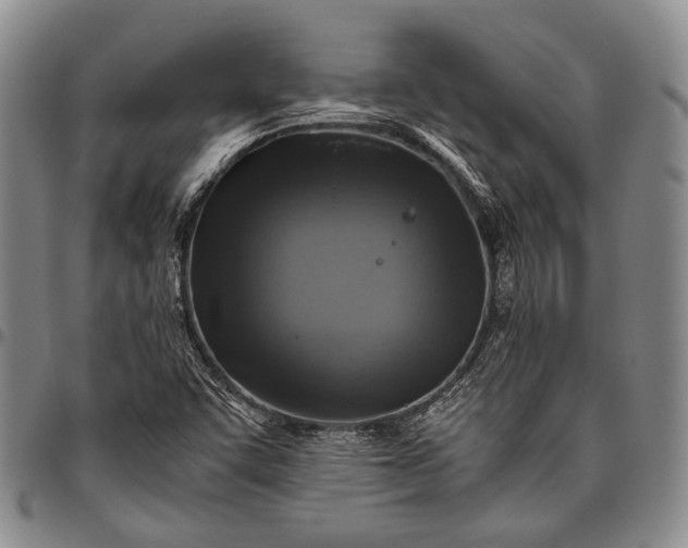 X0000096641455200802191209