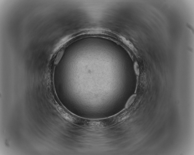 X0000096641456200802191209