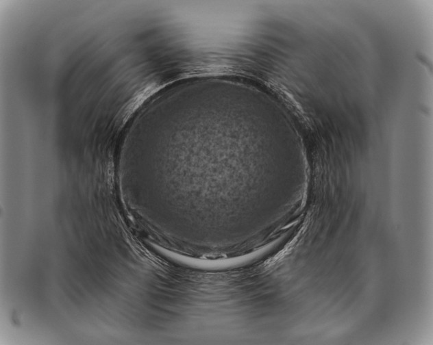 X0000096641457200802191209