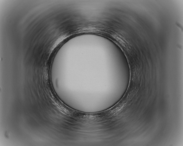 X0000096641458200802191208