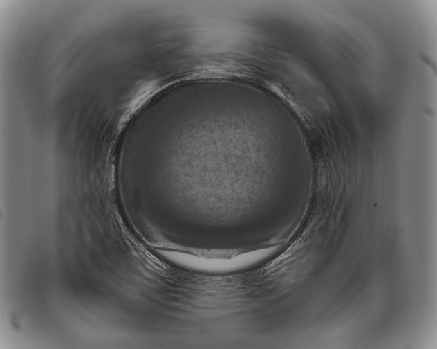 X0000096641459200802191208