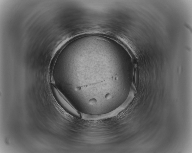 X0000096641460200802191208