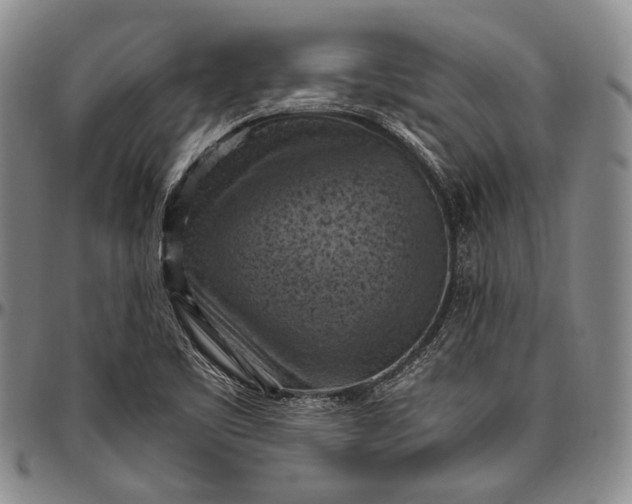 X0000096641461200802191208