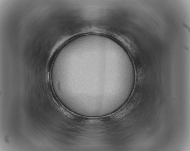 X0000096641462200802191208