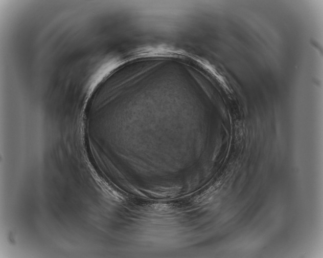 X0000096641463200802191208