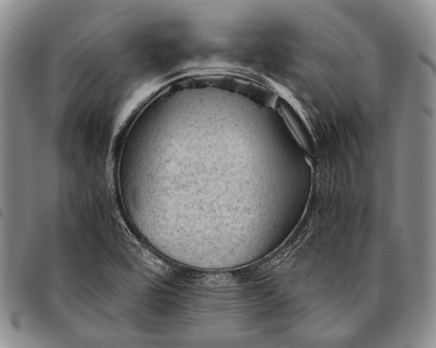 X0000096641464200802191208