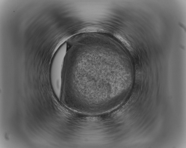 X0000096641465200802191208